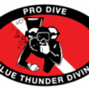 Logo de PRODIVE S.A.