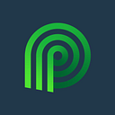 Logo de Palmetto Solar