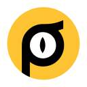 Logo de Pardgroup Iberia