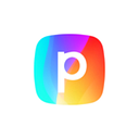 Perspective Dev Group