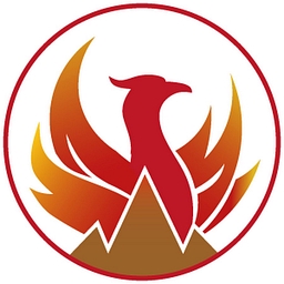 Phoenix Copper Limited