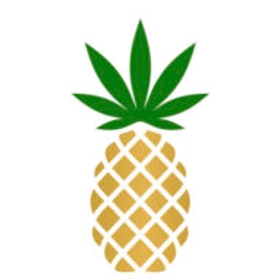 Pineapple Financial Inc.