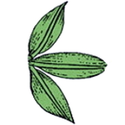 Portmeirion Group PLC