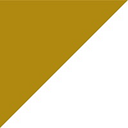 Logo de Precision For Medicine