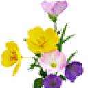 Primrose Residential Service Ltd logo