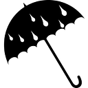 Rain for Rent International logo