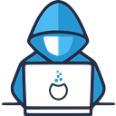 Logo de Rapsys Technologies