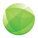 Salix Data logo
