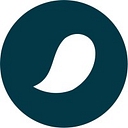Salmo Visa Limited logo