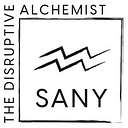 Sany Nigeria logo