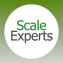 Logo de Scale Experts