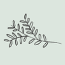 Logo de Serfunllanos Los Olivos.
