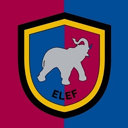 Silver Elephant Mining Corp