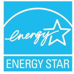 Silver Star Energy Inc