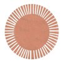 Logo de Skin Up
