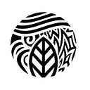 Skin Elements Ltd Aksje