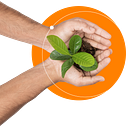 Logo de Socya