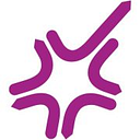 Stellar International Company Limited logo