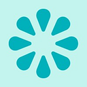 Logo de Strategic Selection