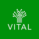 Logo de Supermayorista Vital
