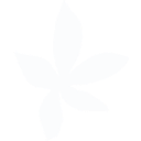 Logo de TATIANA NARVAEZ