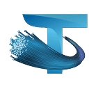 TDEV ENTERPRISE LIMITED logo