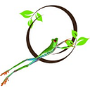 Logo de THE ORGANIC WINERY PTE. LTD.