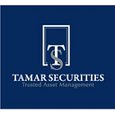 Tamar Securities LLC