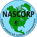 Logo de The American Survey