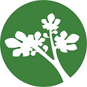 Logo de The Bethanie Group