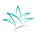 Logo de The Iidea Company