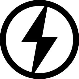 The Lion Electric Company