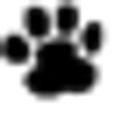 Logo de The Pet Doctor