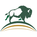 The Bison Group LLC