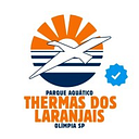 Logo de Thermas Internacionasl