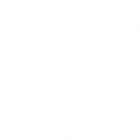 Thirumalai Chemicals Aktie