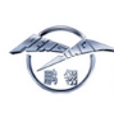 Tianjin Pengling Group A Aktie