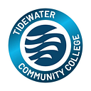 Tidewater Consulting logo
