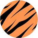 Logo de Tiger Global Business Services