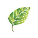 Logo de Tintoreria Novo