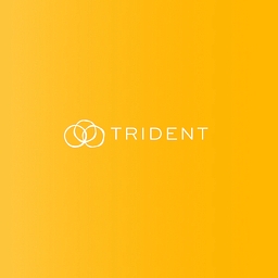 Trident Resources Corp.
