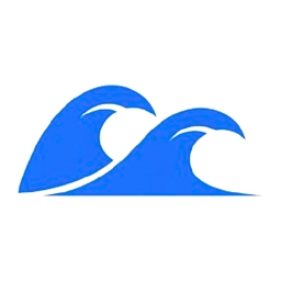 Truetide plc