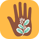 Trust for Indigenous Culture and Health (TICAH) logo