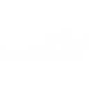 Logo de Turnstone Migration Services
