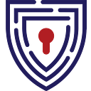 USA Cyber