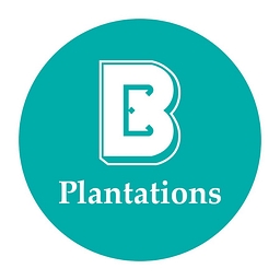 United Plantations Berhad