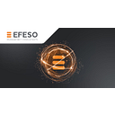 Logo de Usa - Efeso Management Consultants, Inc.