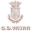 VAJRA GLOBAL LIMITED logo