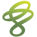 VAS GLOBAL LIMITED logo