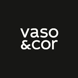 Vaso Corp